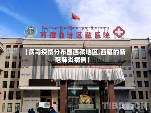 【病毒疫情分布图西藏地区,西藏的新冠肺炎病例】