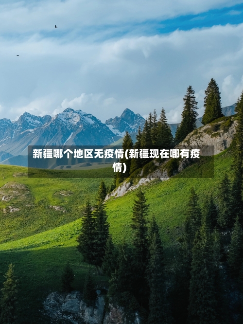 新疆哪个地区无疫情(新疆现在哪有疫情)