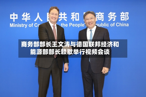 商务部部长王文涛与德国联邦经济和能源部部长赖歇举行视频会谈