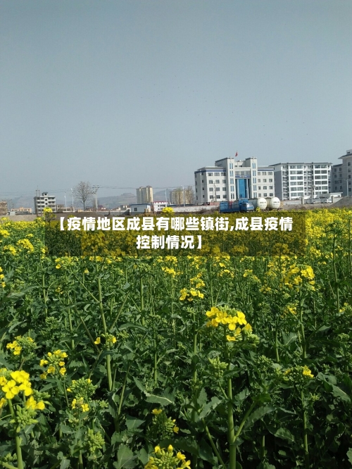 【疫情地区成县有哪些镇街,成县疫情控制情况】