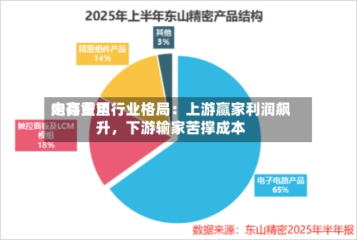 内存费用走高重塑行业格局：上游赢家利润飙升，下游输家苦撑成本